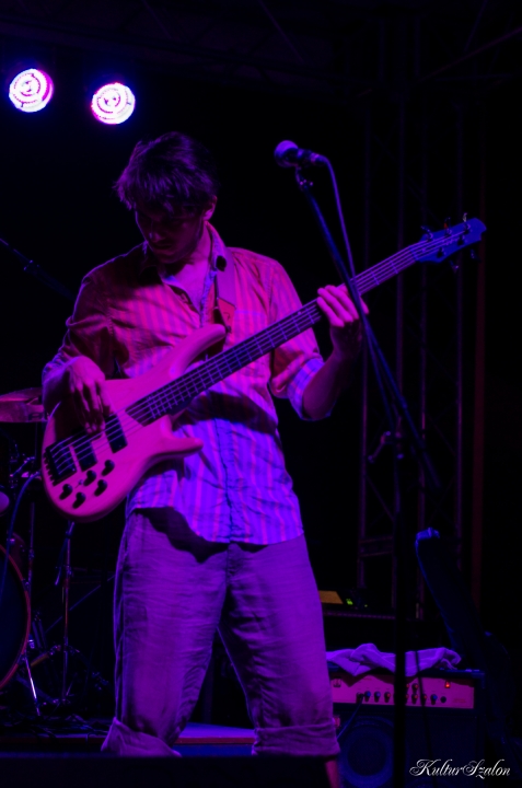 Ed Is On a Vidor Kertben